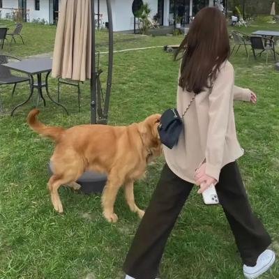 那时我们还小